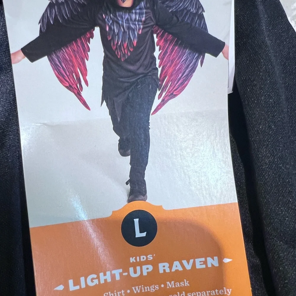 Hyde and Eek Boys Raven Light up Mask Size Large